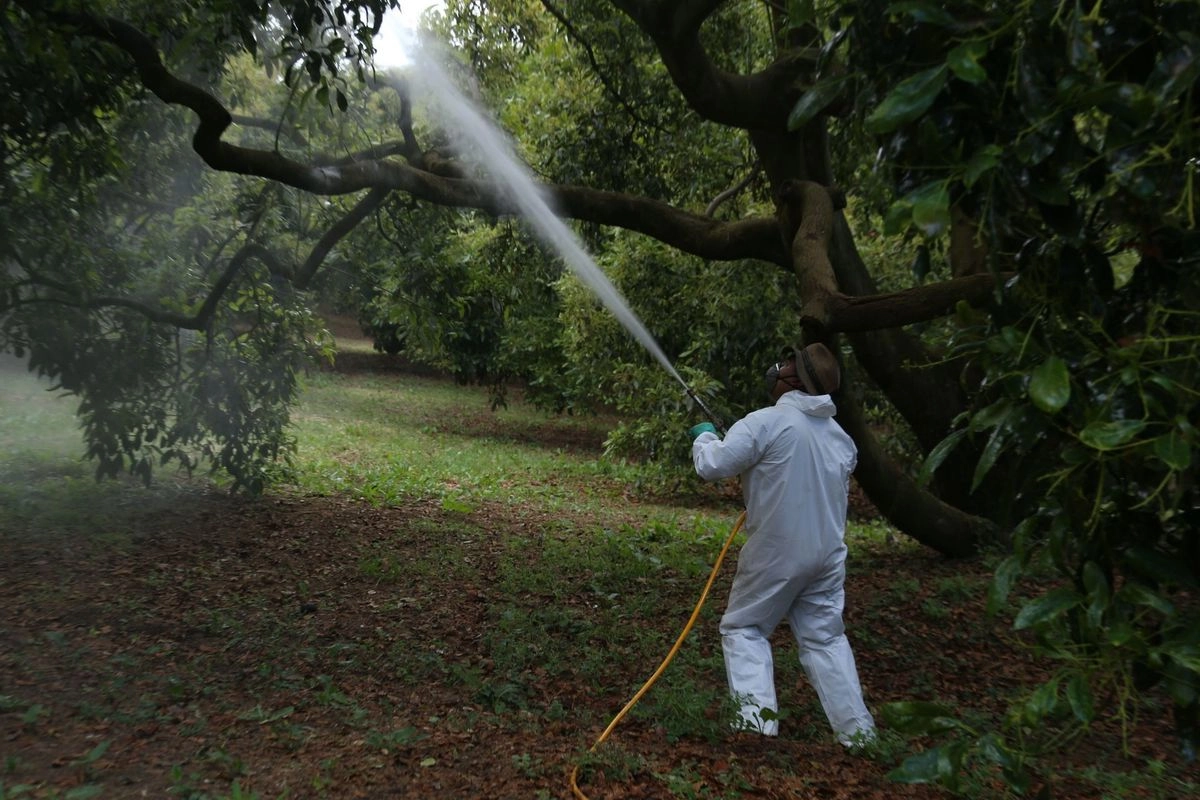 Circulan en México 210 plaguicidas altamente peligrosos prohibidos en otros países