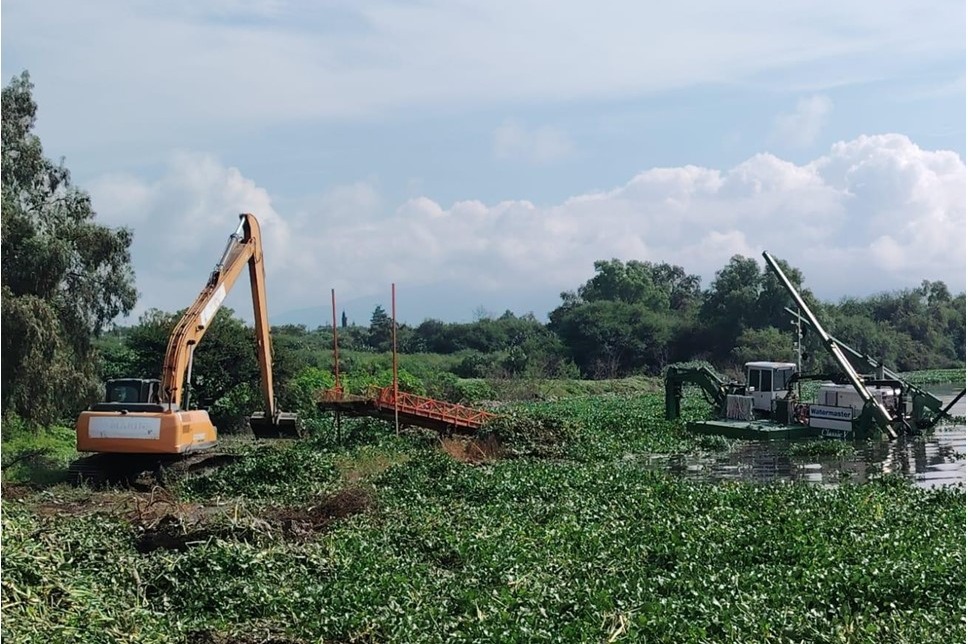 Crecimiento del lirio acuático en presa Endhó preocupa a autoridades ambientales
