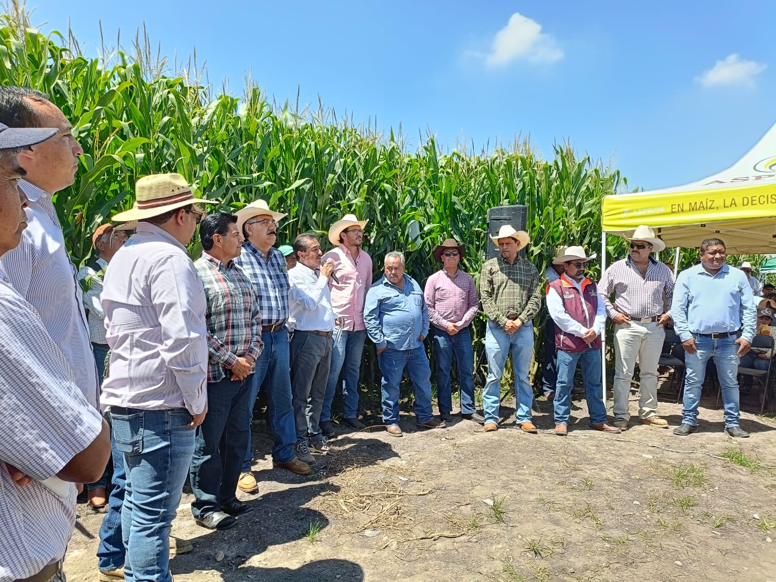 Nivelación de parcelas en Hidalgo ahorra millones de litros de agua y aumenta producción de maíz