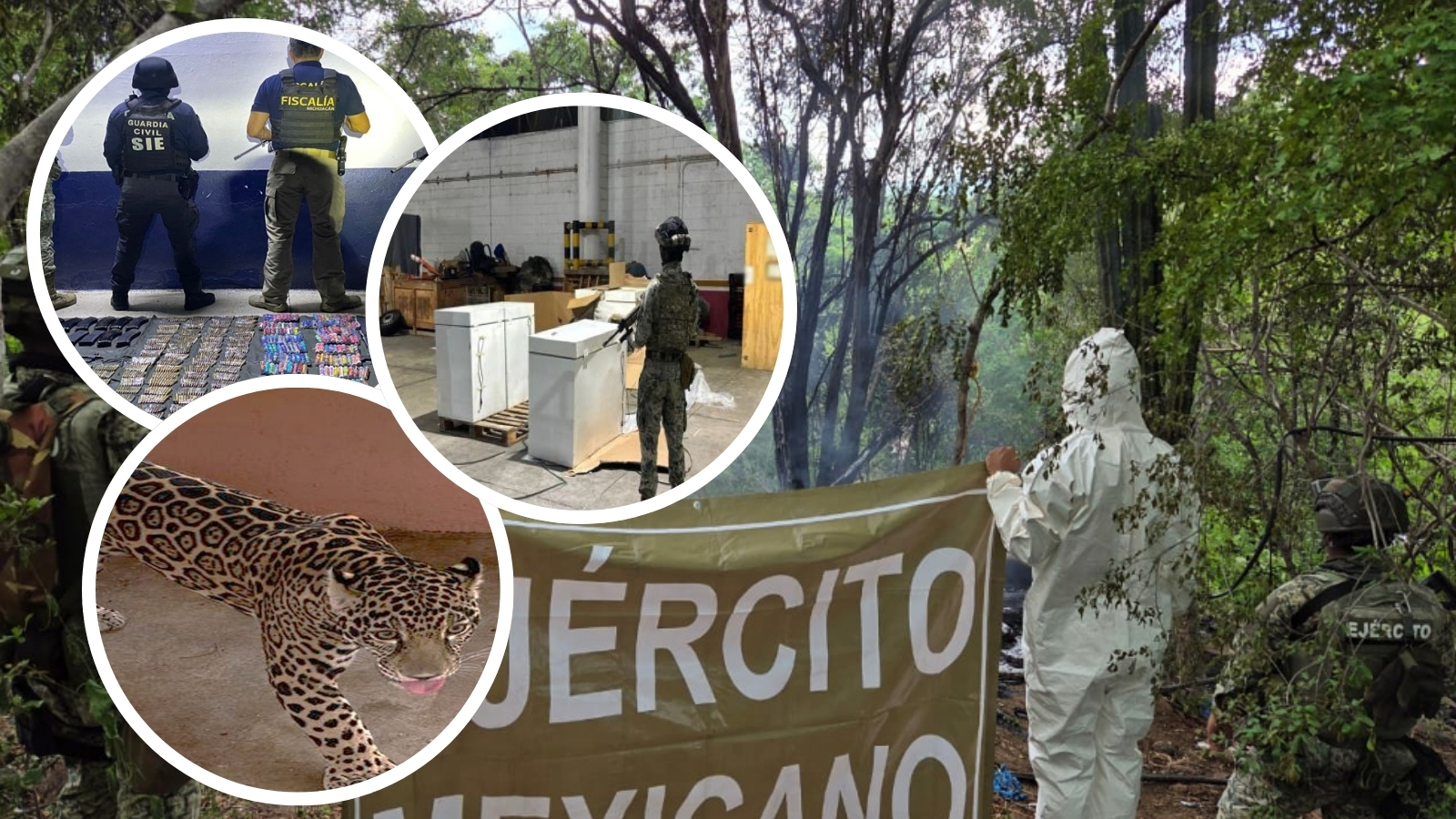 Así fue el operativo en 6 estados contra crimen organizado