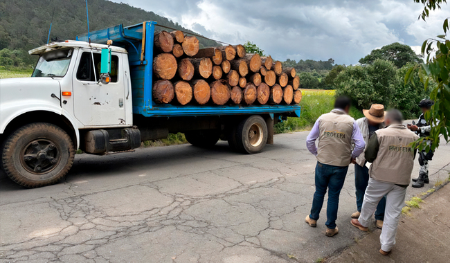Camión con troncos decomisados por tala clandestina en Hidalgo