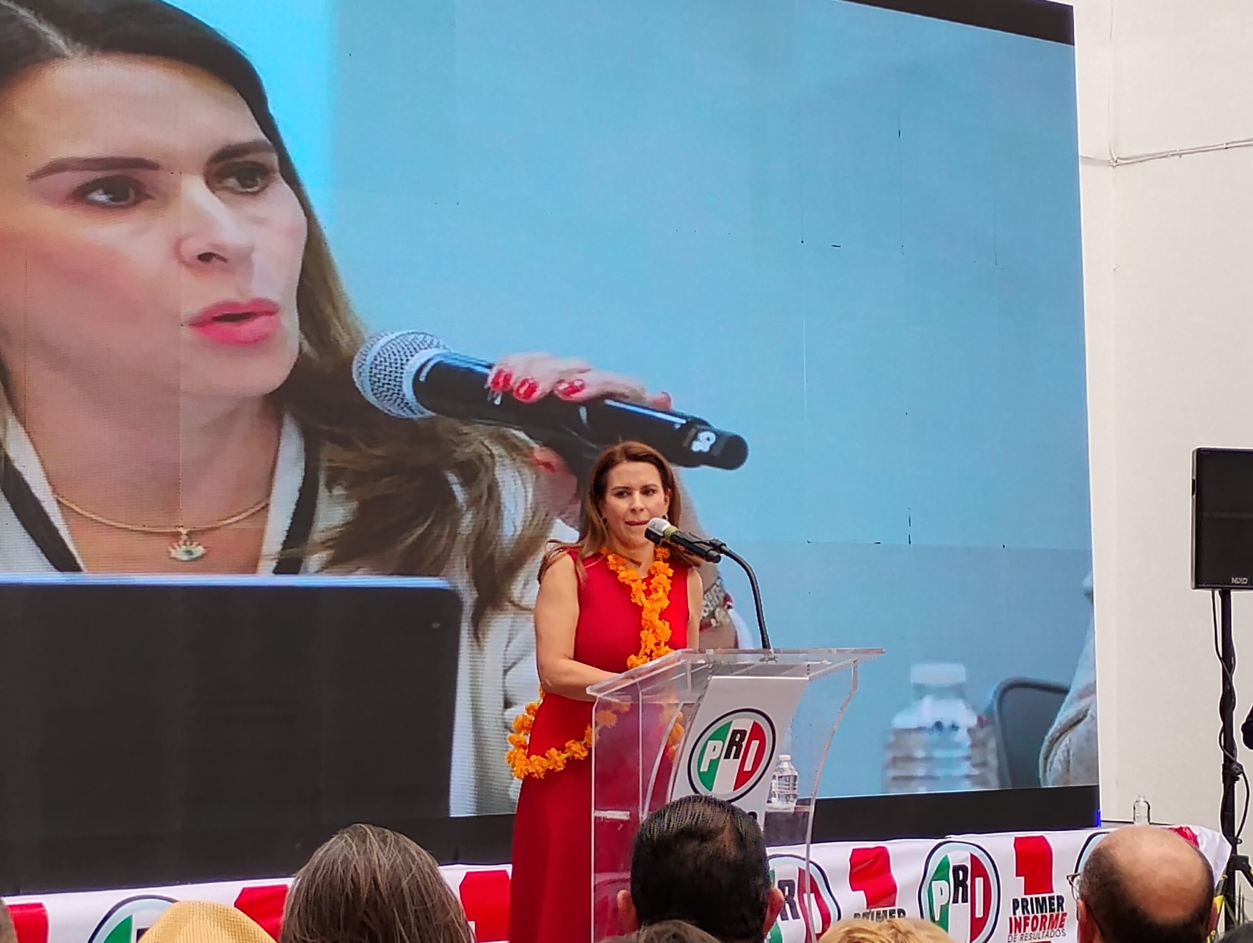 Revocación de mandato no debería existir: Carolina Viggiano