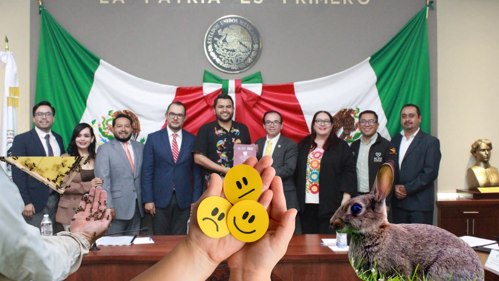 Iniciativas buscan fortalecer derechos humanos y bienestar animal