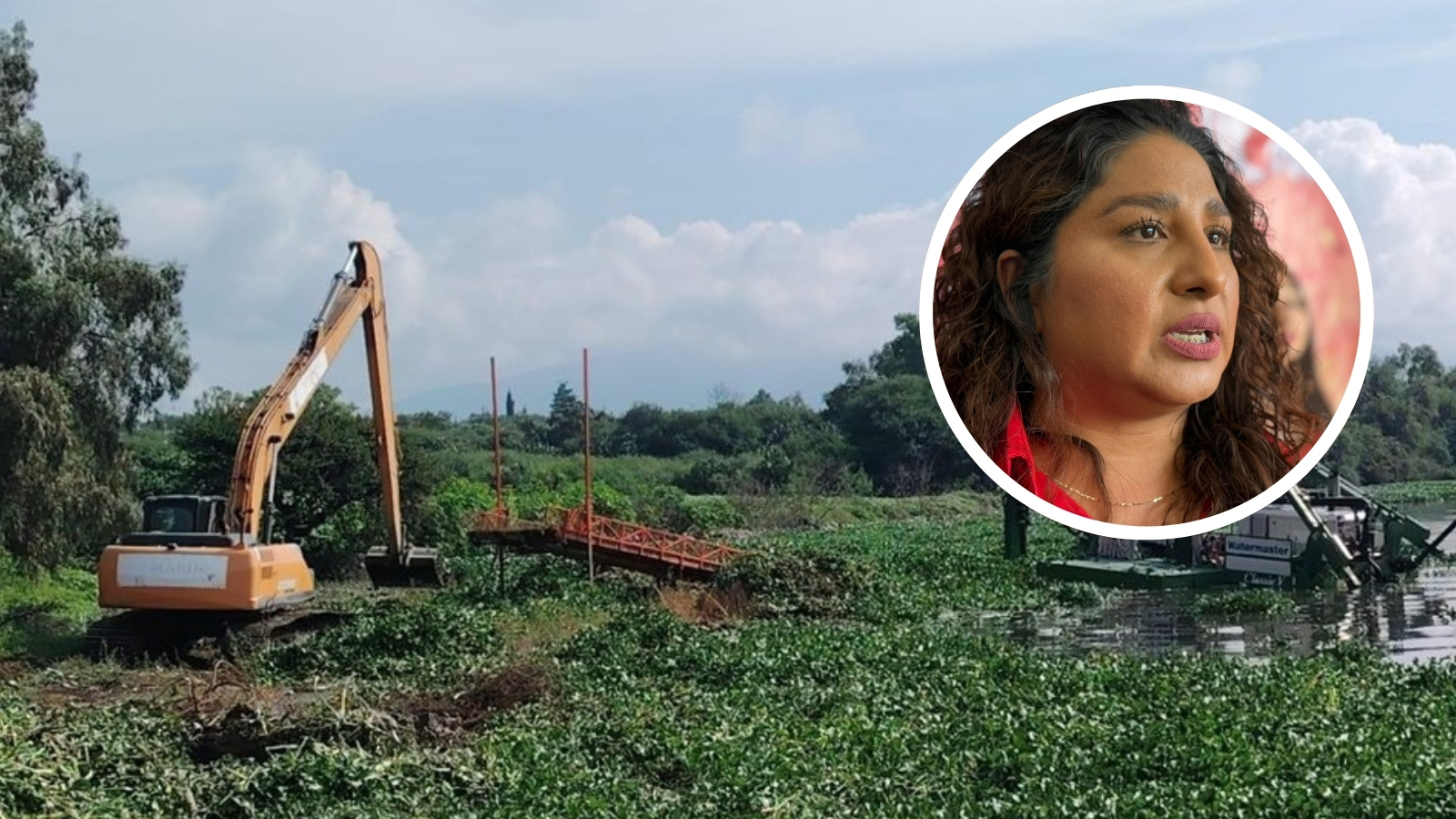 Moscos, contaminación y enfermedades: la crisis por lirio en Tepetitlán