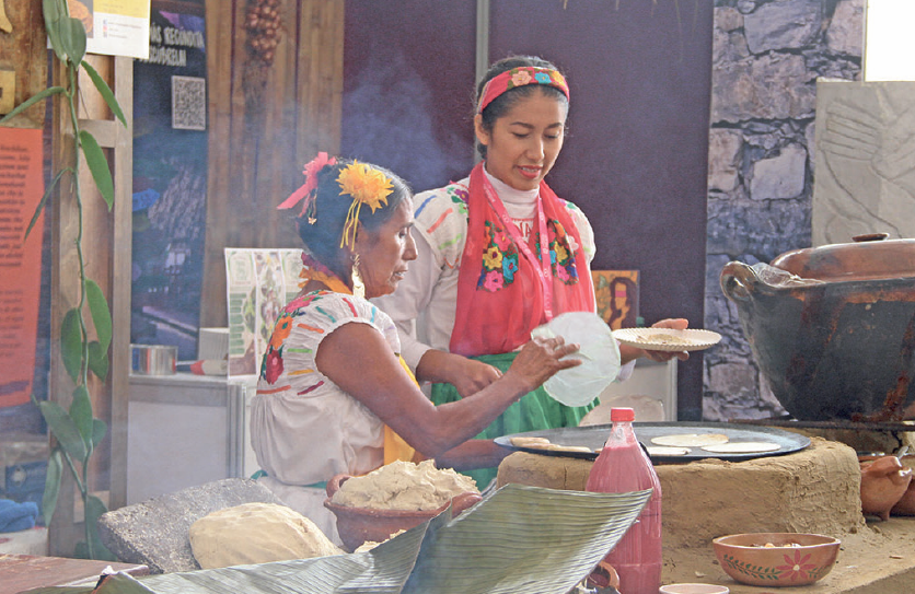 Pueblos originarios: una historia viva