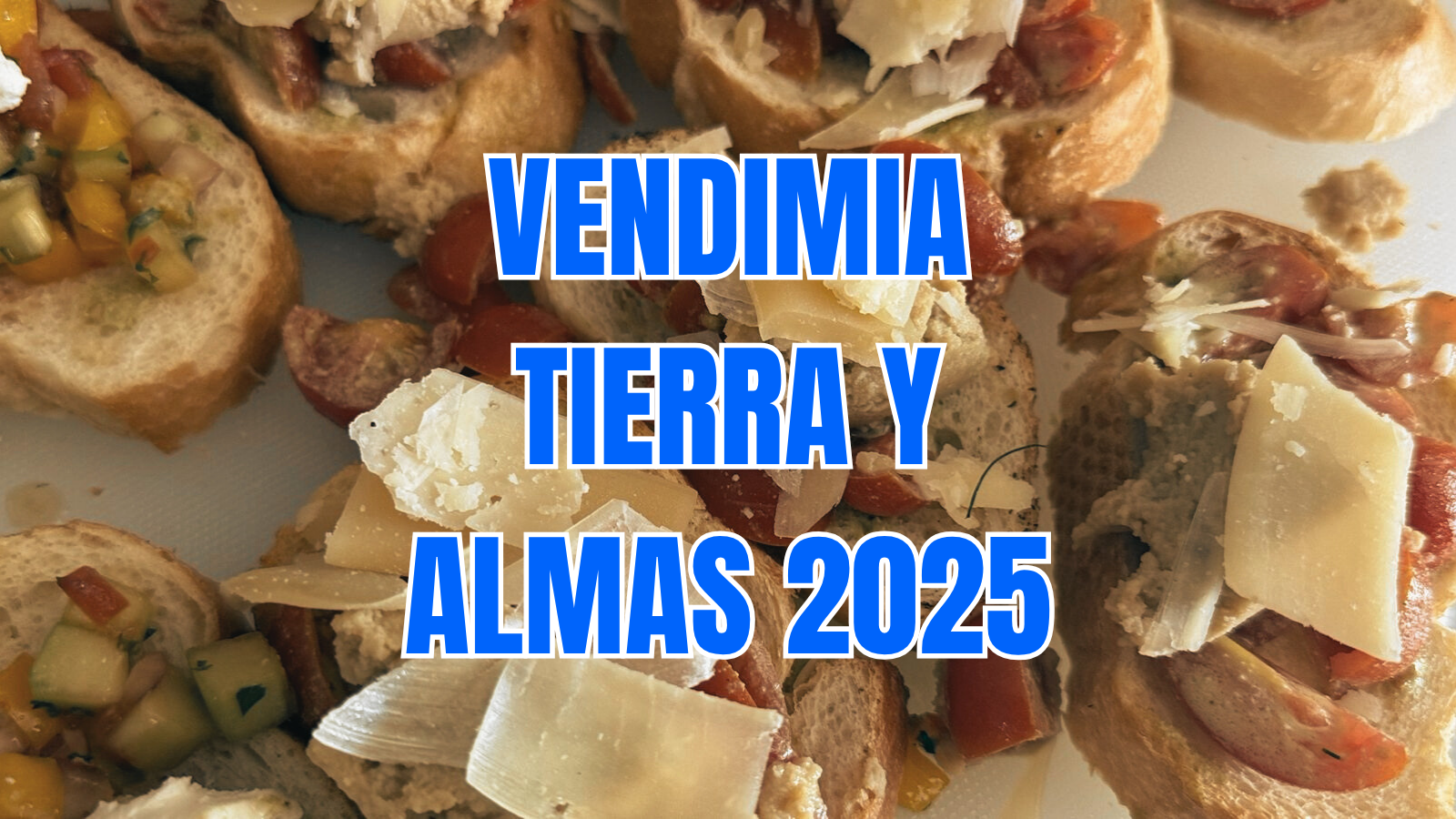 ¿Te gusta el vino? Conoce la vendimia Tierra y Almas en Tecozautla