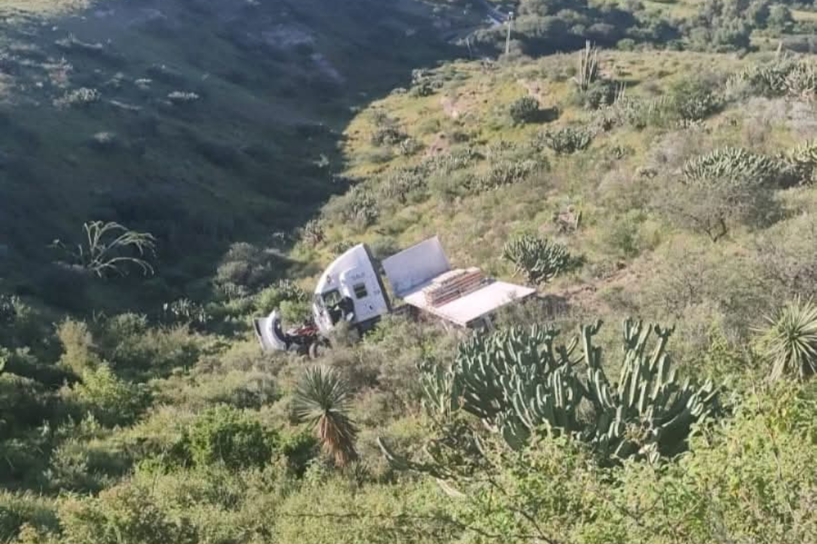 Cae trailer a voladero en Tasquillo, hay un lesionado