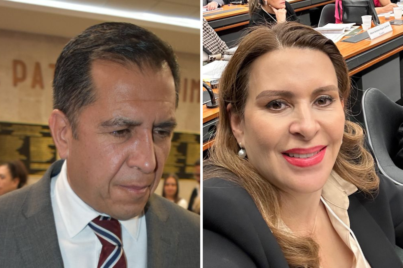 “Carolina Viggiano es un personaje sin discurso”: Ricardo Crespo