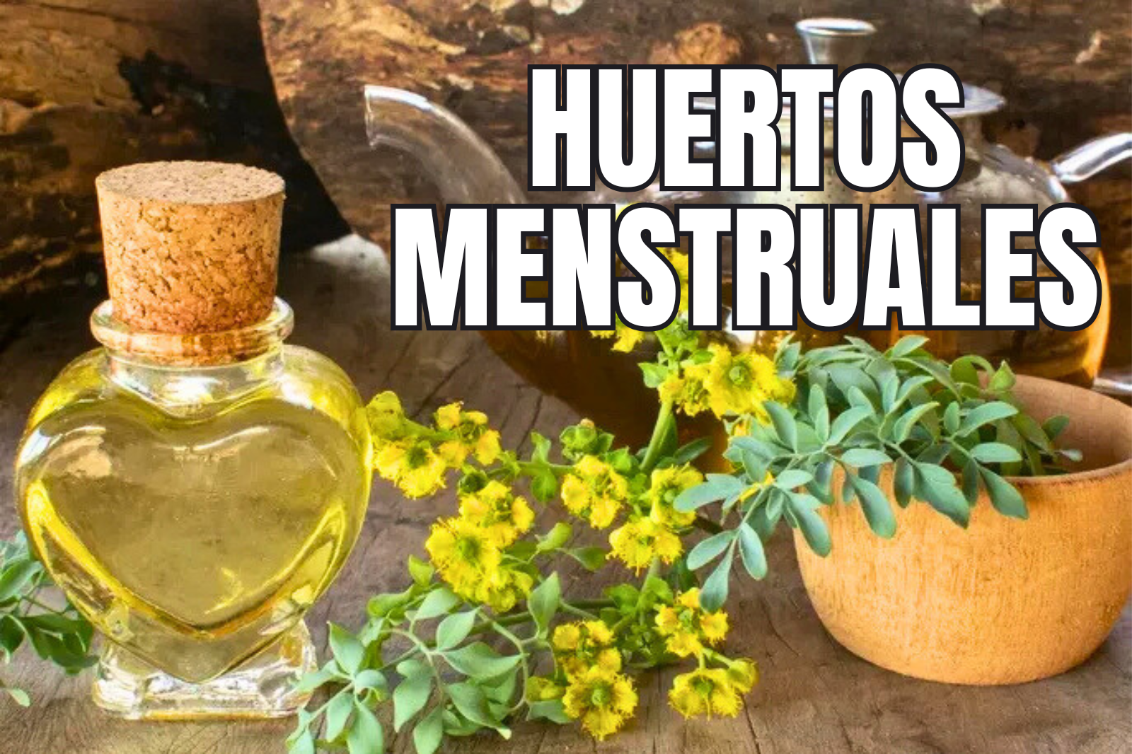 ¿Qué son los huertos menstruales y en qué municipio de Hidalgo se instalaron? Te contamos