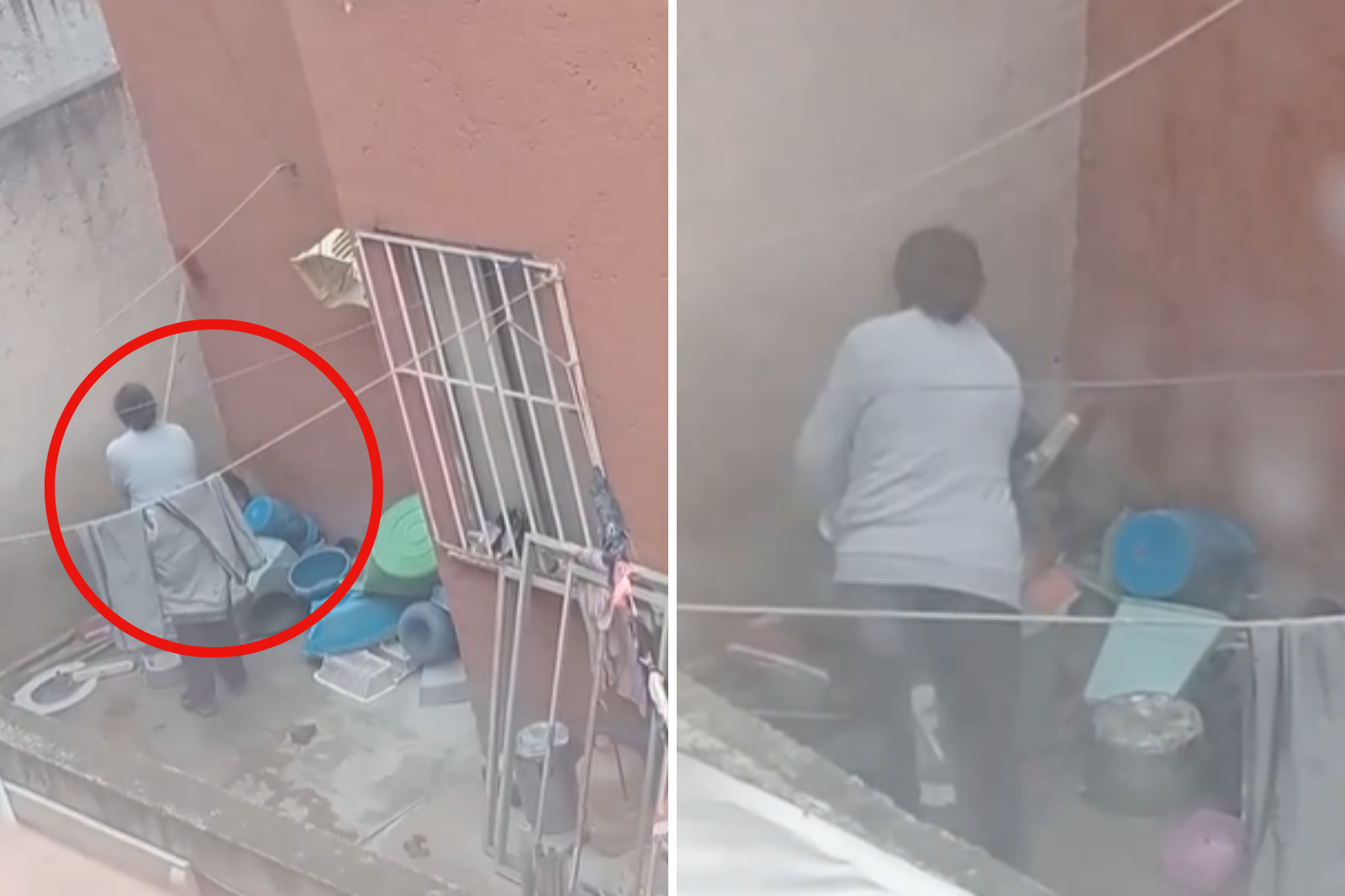 VIDEO SENSIBLE | ¡A escobazos! Señora agrede a perrito indefenso