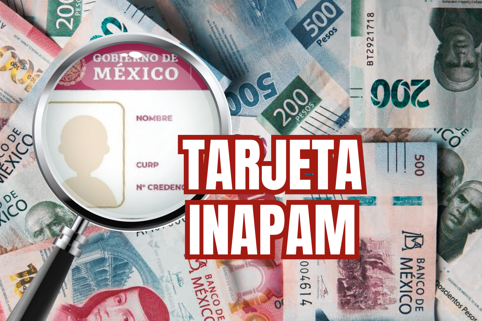 Así puedes tramitar tu Tarjeta INAPAM 2025 y obtener $3 mil pesos