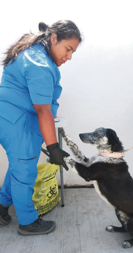 Brianda se ha convertido en un referente local por su entrega, sensibilidad y profesionalismo en el cuidado de las mascotas