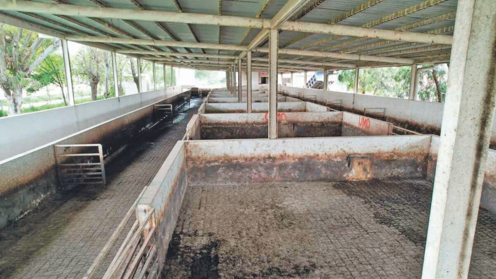 Pachuca destina millones a mejorar su Rastro Municipal