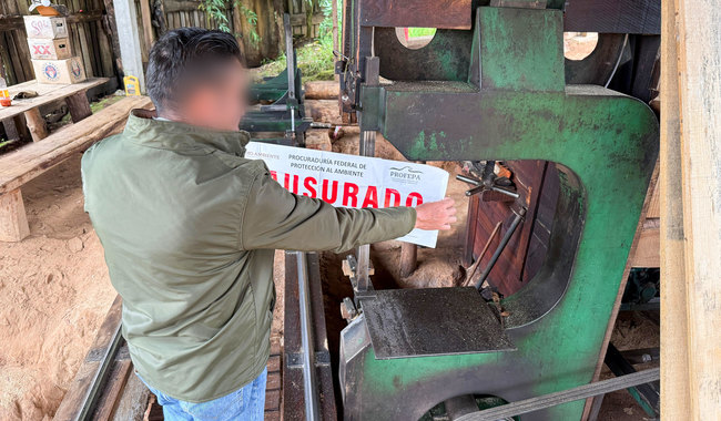 Profepa clausura aserradero en Acaxochitlán por no cumplir normatividad