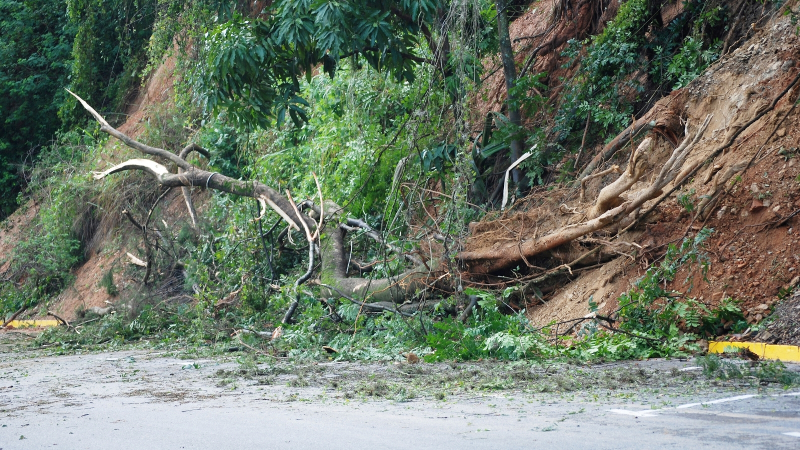 Derrumbe en Zimapán: estas comunidades quedaron incomunicadas