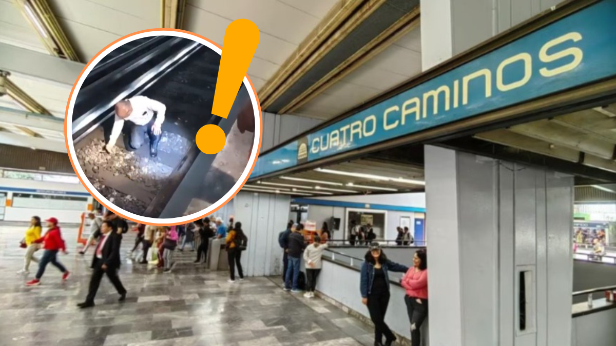 VIDEO: Quelonio es rescatado en las vías del Metro CDMX; tuvo que cortar la corriente por tres minutos