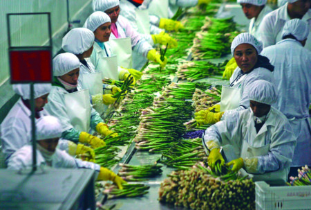 Exportaciones de Hidalgo crecen 1.6% en el segundo trimestre de 2025