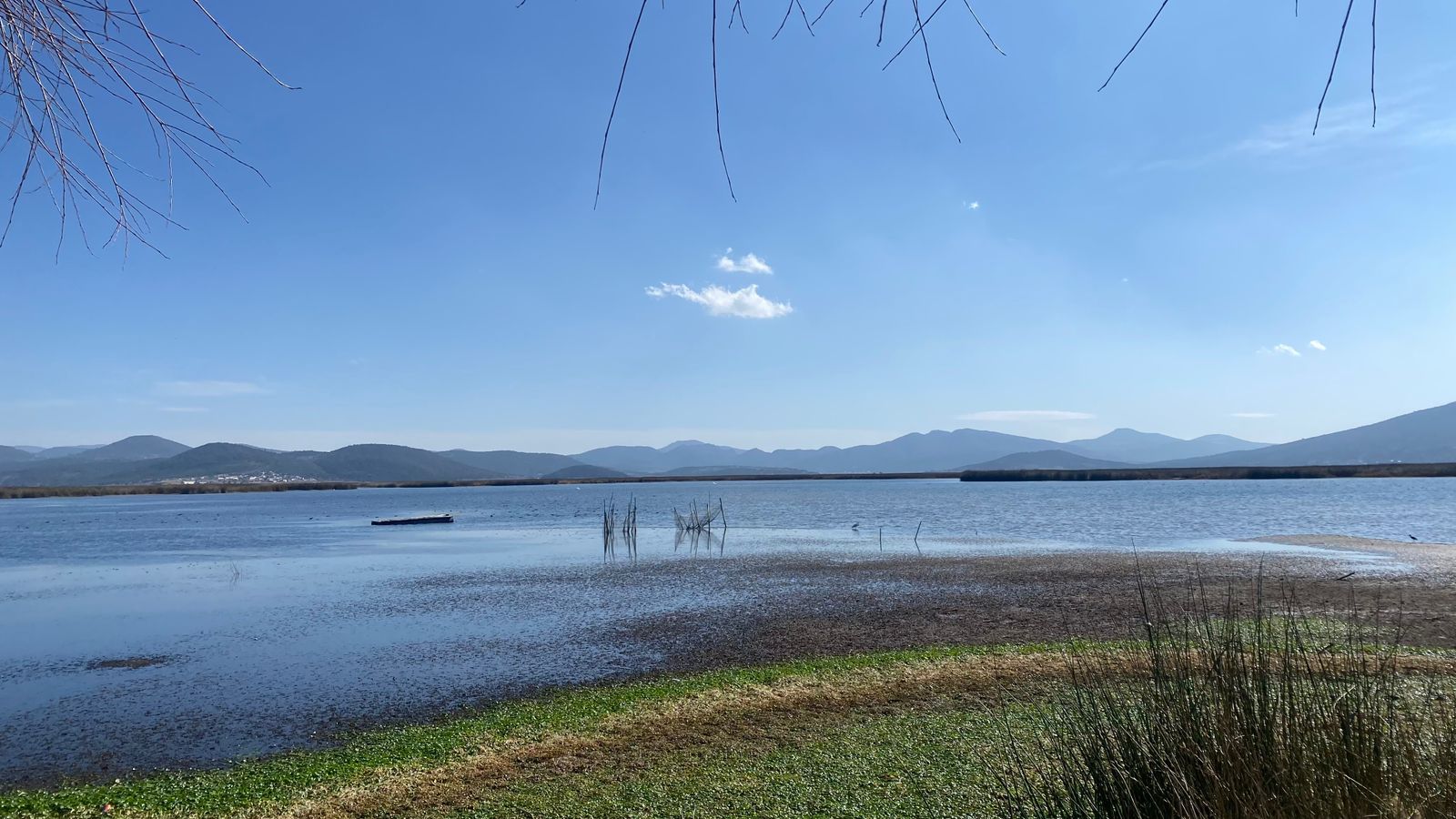 Festival en Apan por Día Nacional del Maíz