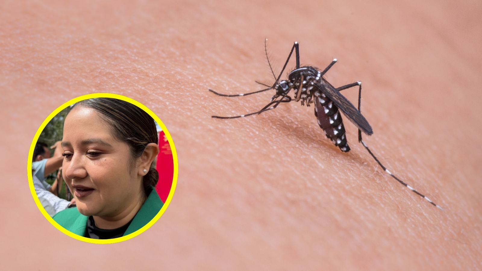 Hidalgo confirma 128 casos de dengue, este municipio es el más afectado