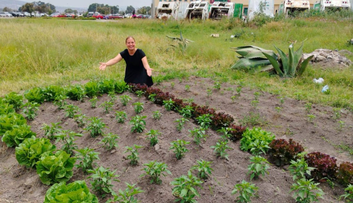 Regidora del verde en Tulancingo presume huerto en presidencia; ciudadanía pide prioridades