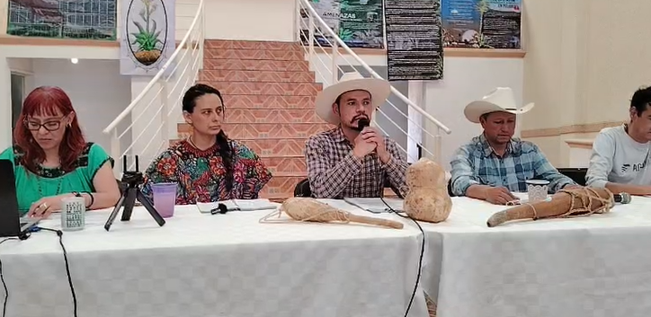 Productores de maguey y pulque en Hidalgo rechazan que tierras para parque fotovoltaico sean infértiles