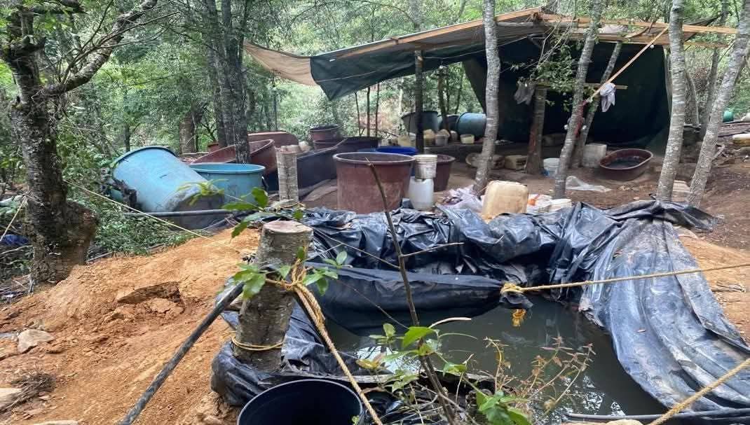 Desmantelan tres narcolaboratorios en el Valle de Tulancingo en solo cinco meses