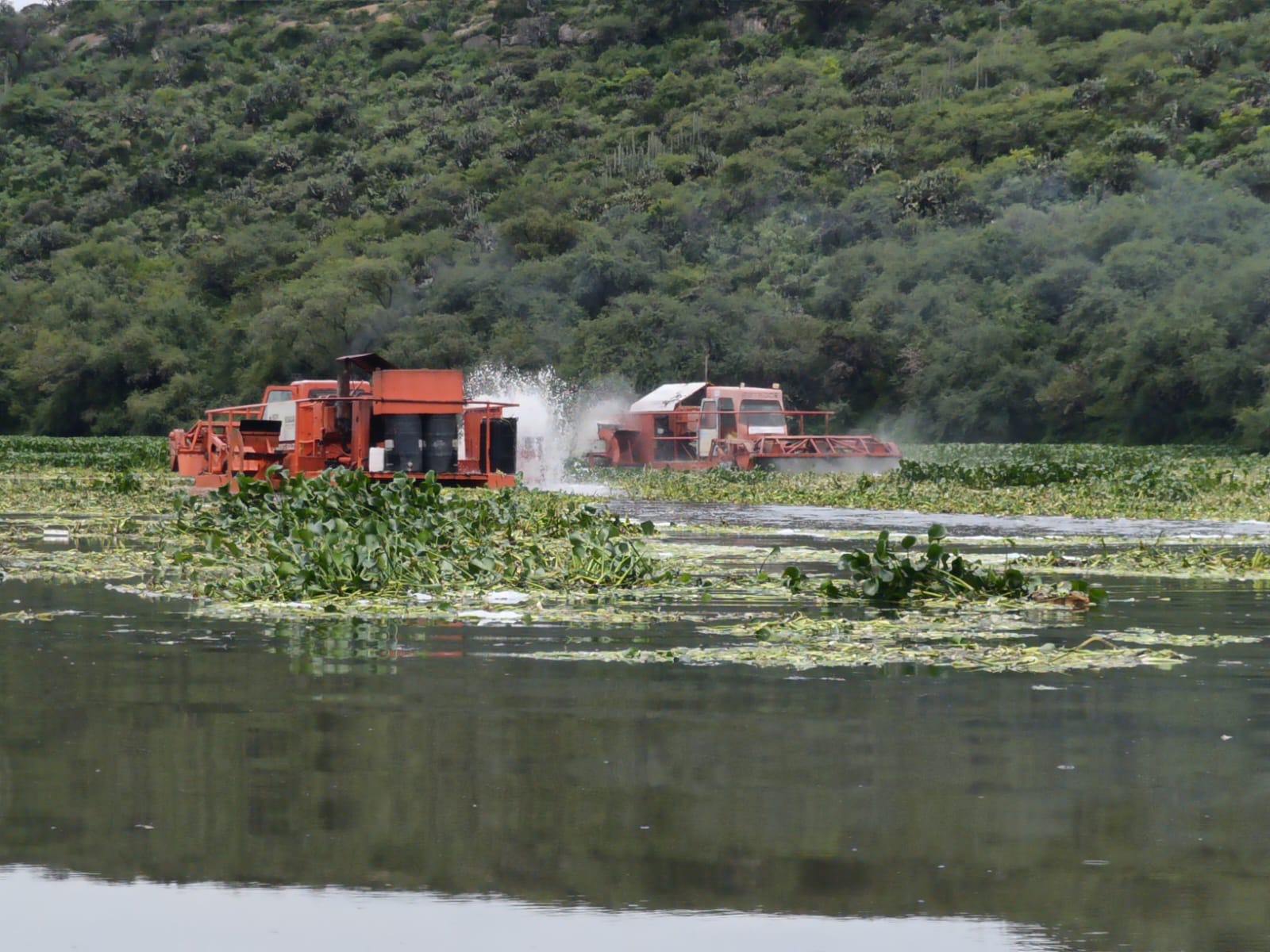 Cuerpo sin vida es localizado flotando en la presa Endhó