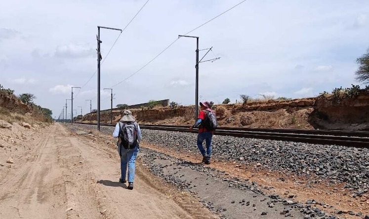 Descubren sitios arqueológicos clave en la ruta del tren México-Querétaro