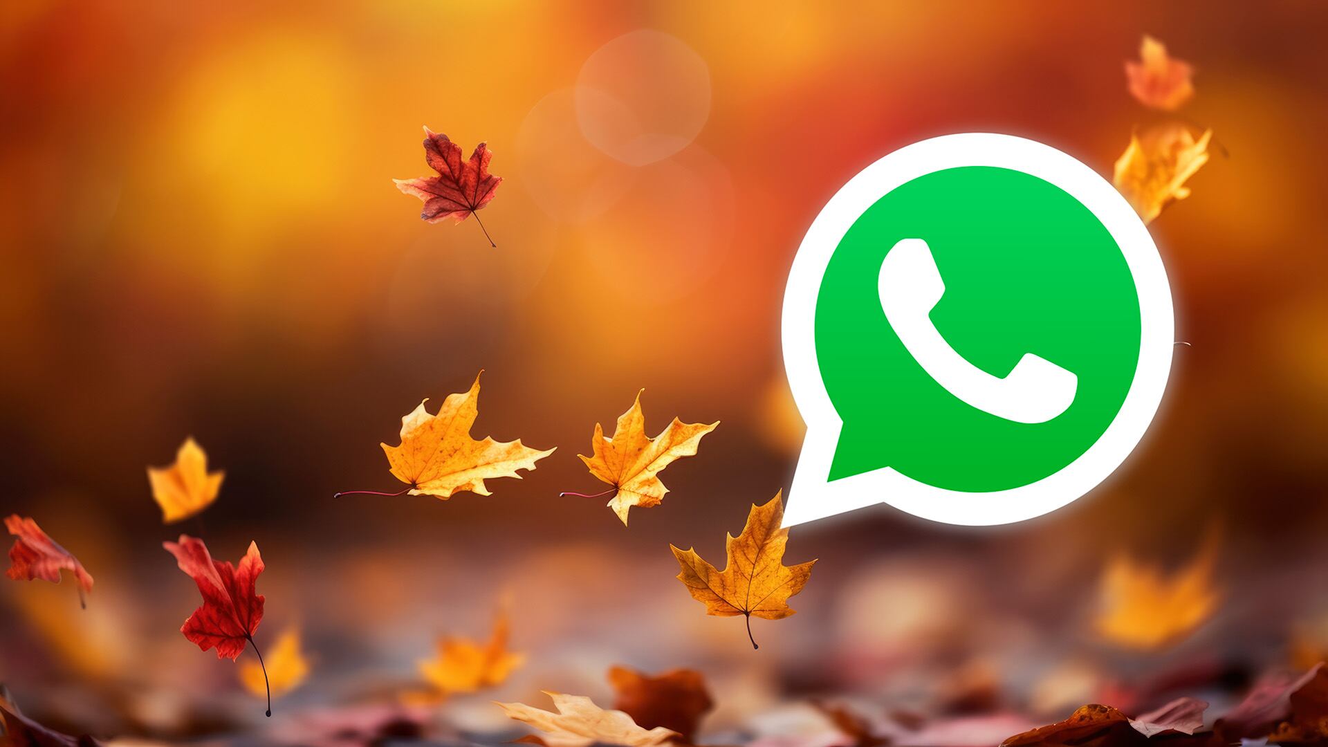Cómo activar el modo otoño en WhatsApp paso a paso