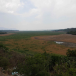 parque ecologico y de economia circular en Hidalgo