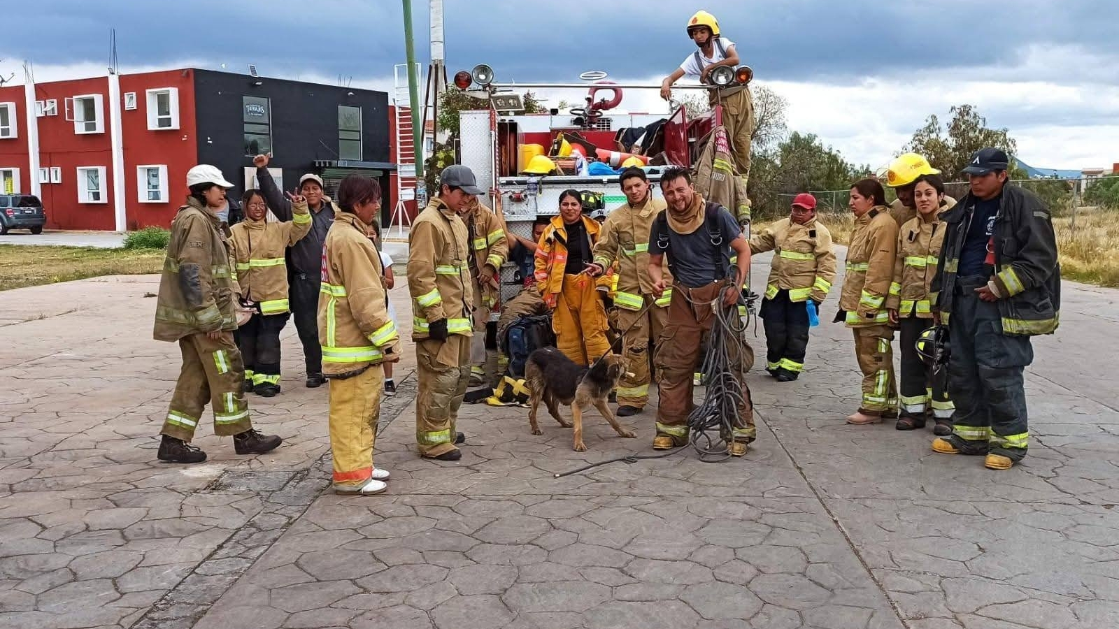 Bomberas rescatan con vida a perrito atrapado en un drenaje en Pachuca