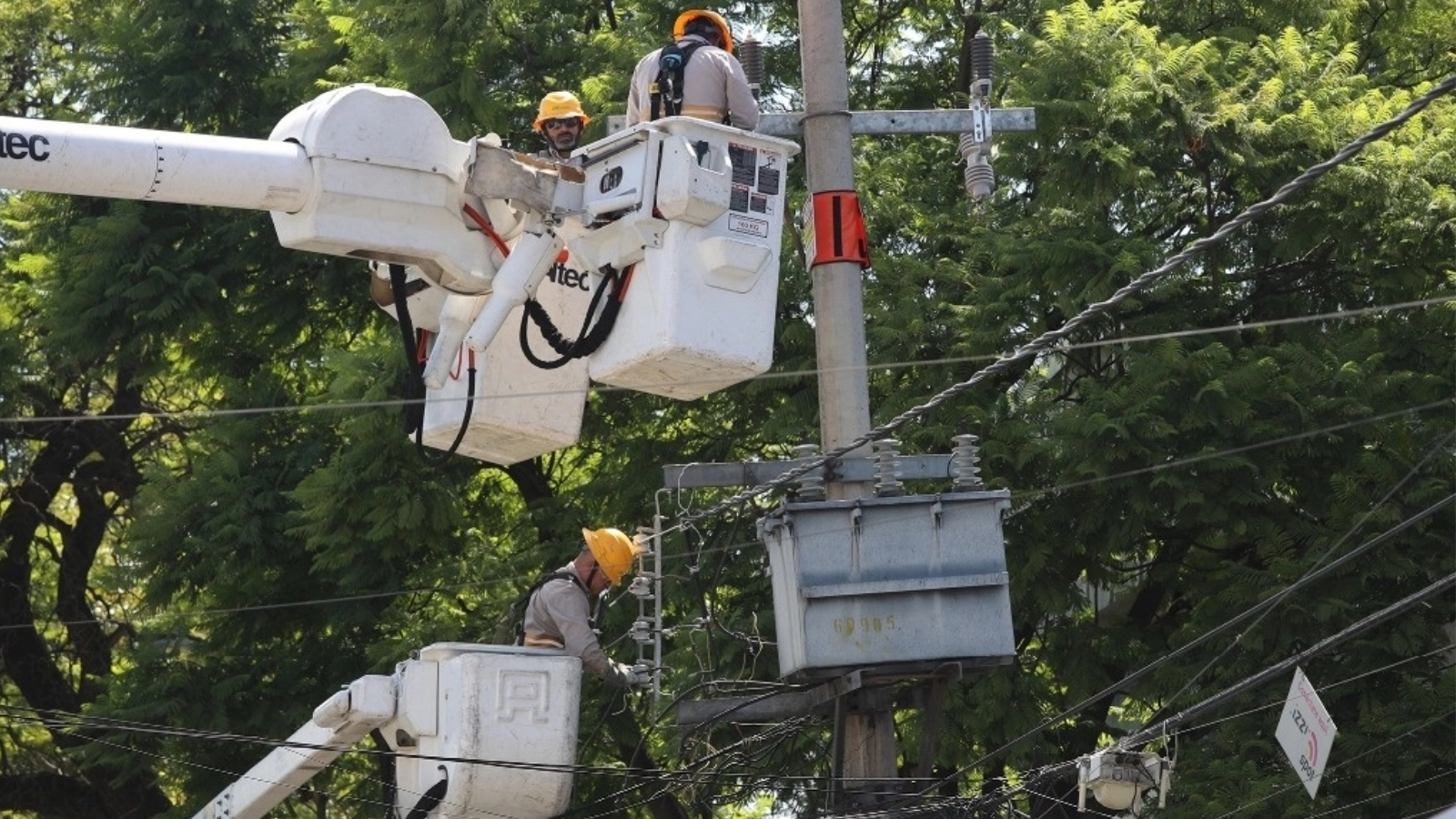 CFE restablece servicio eléctrico al 85% de los usuarios afectados en Hidalgo