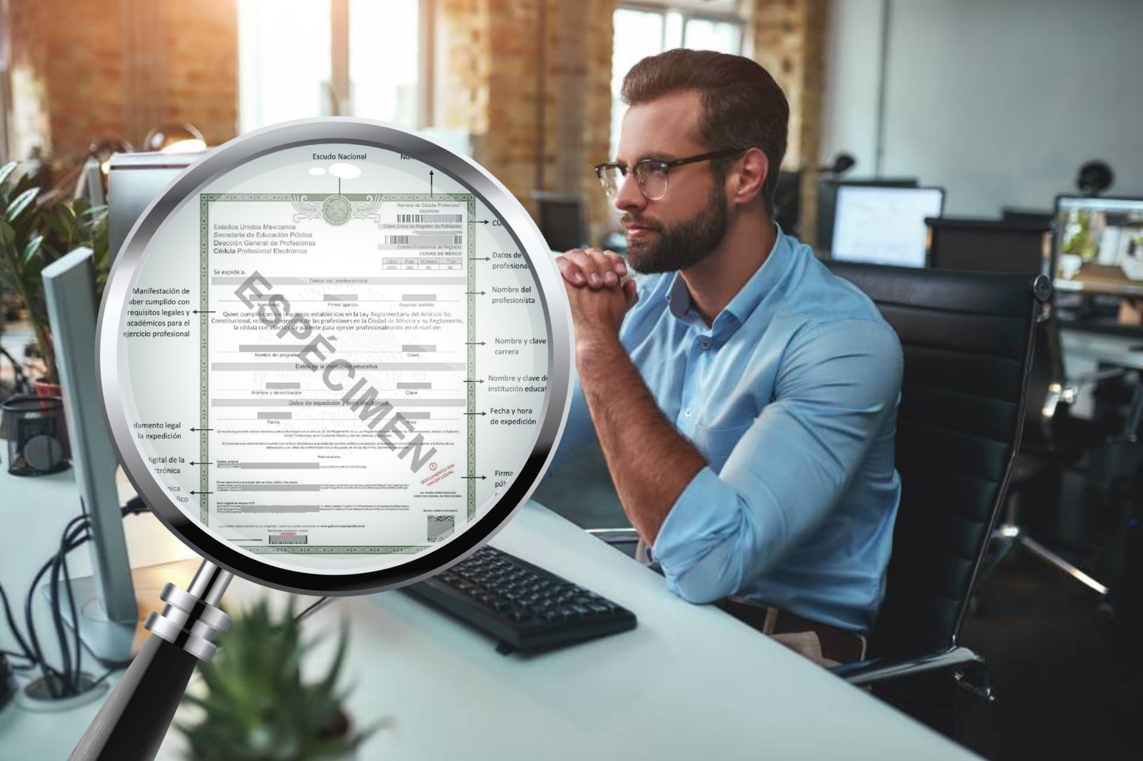 PASO A PASO | Cómo obtener la Constancia de Situación Profesional en línea