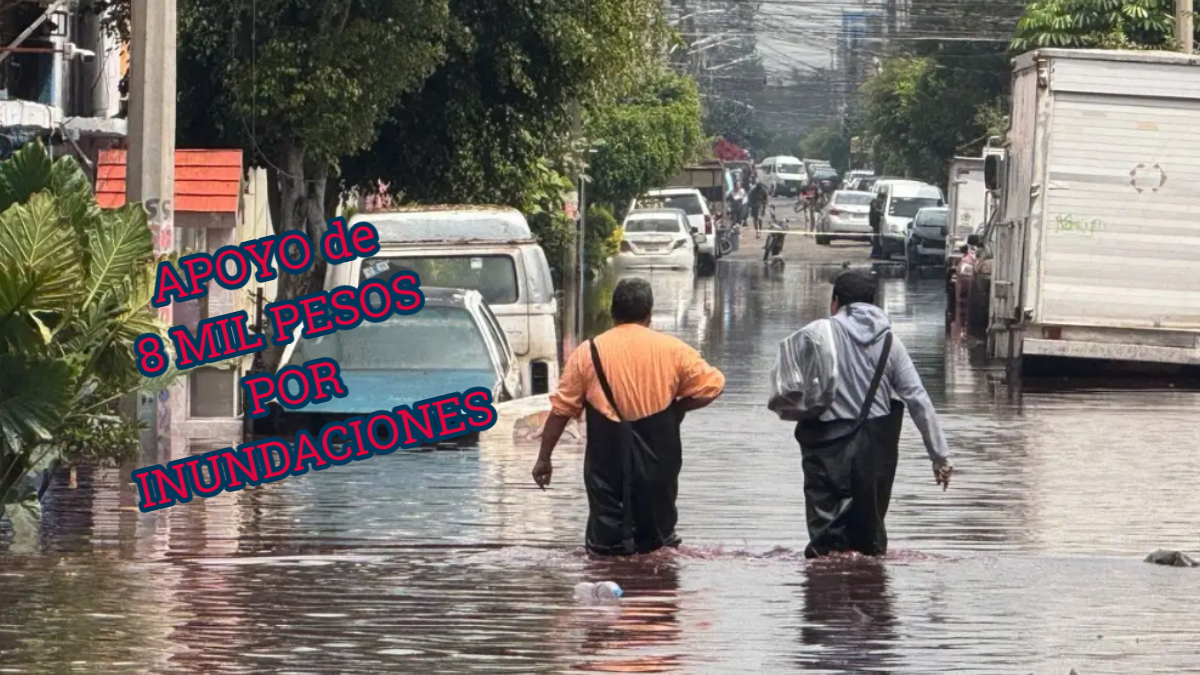 Apoyo de 8 mil pesos por inundaciones: requisitos y dónde cobrarlo en CDMX y Edomex