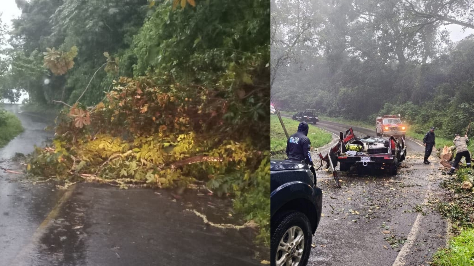 Huracán Priscila provoca deslaves y desbordamientos en distintas regiones de Hidalgo