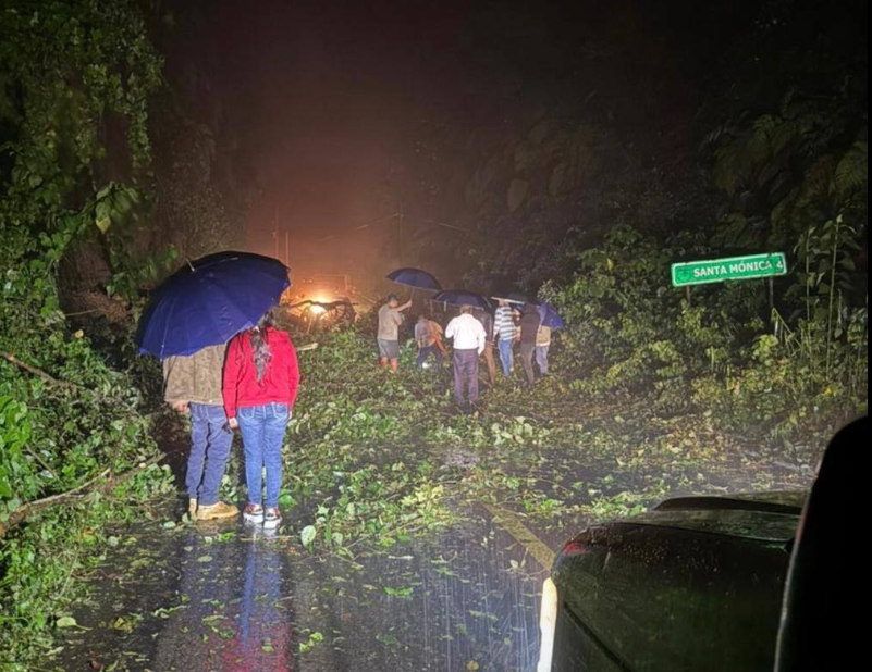 Derrumbes y caída de árboles bloquean caminos en esta región de Hidalgo