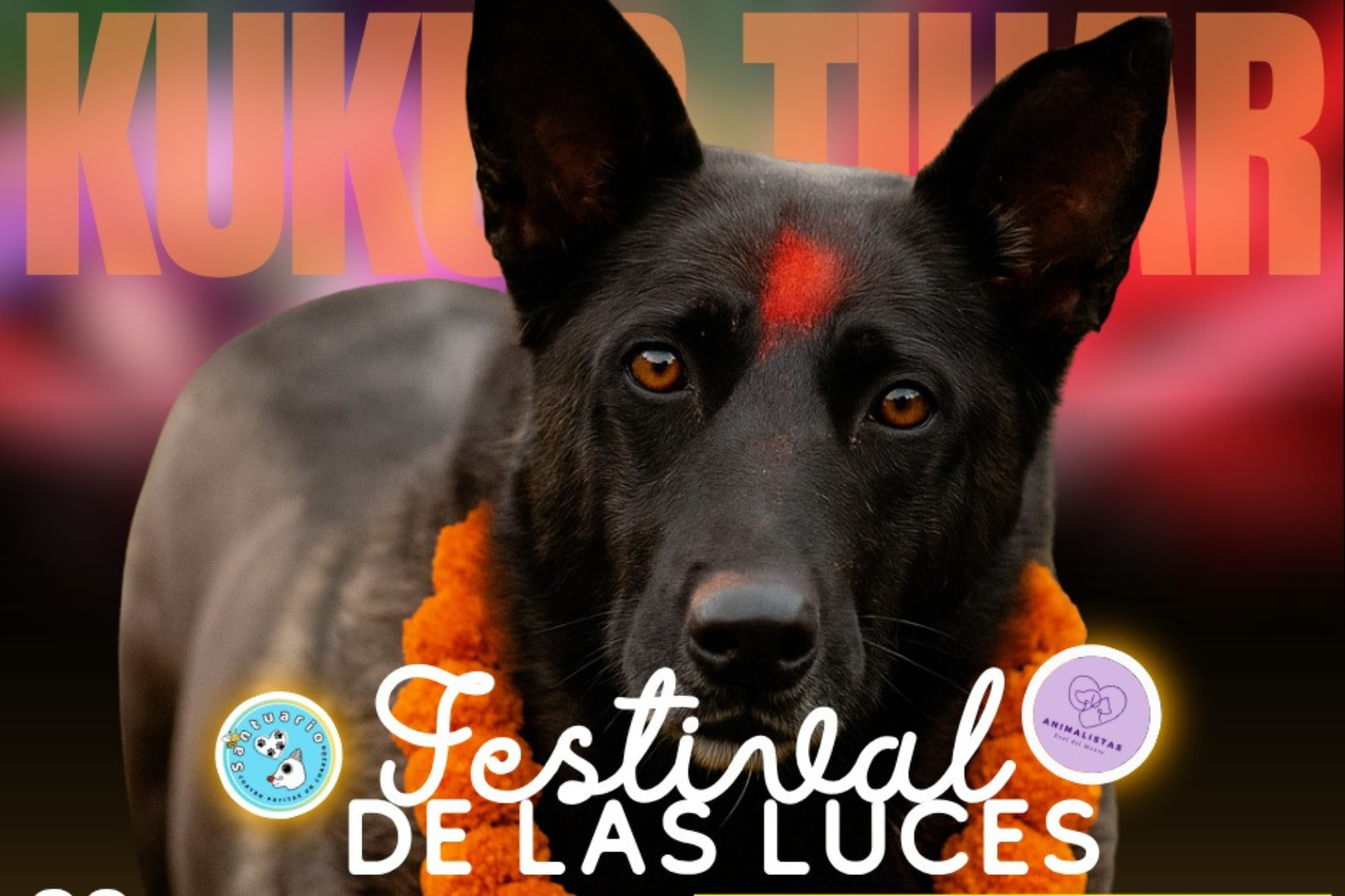 Este domingo, Real del Monte se ilumina con el Kukur Tihar