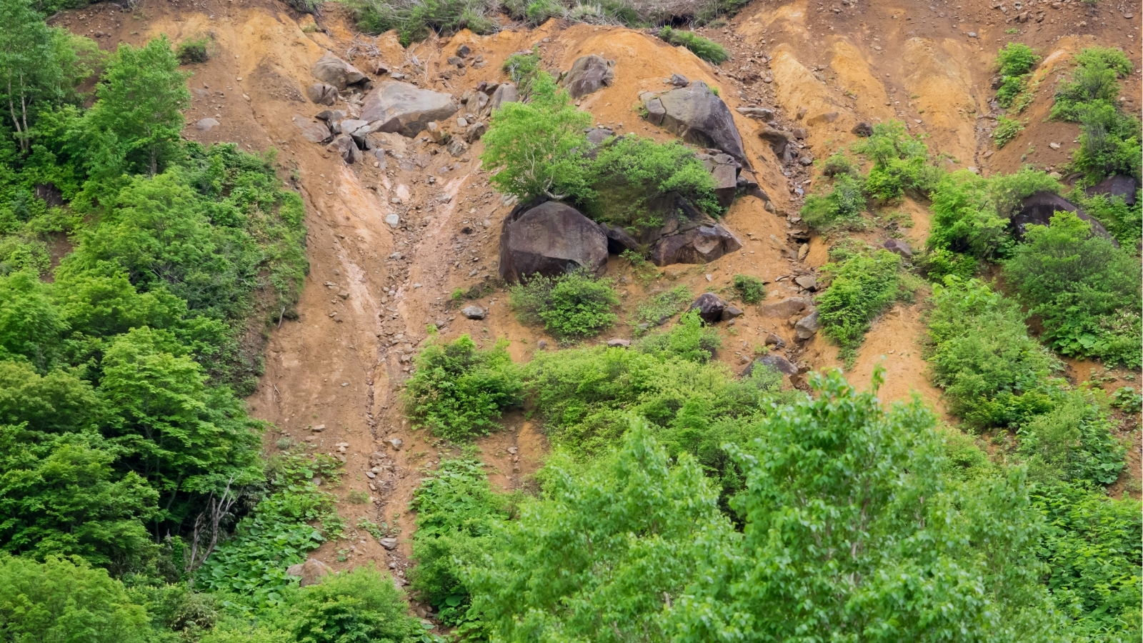 Lluvias dejan 75 localidades incomunicadas en Hidalgo; trabajos avanzan