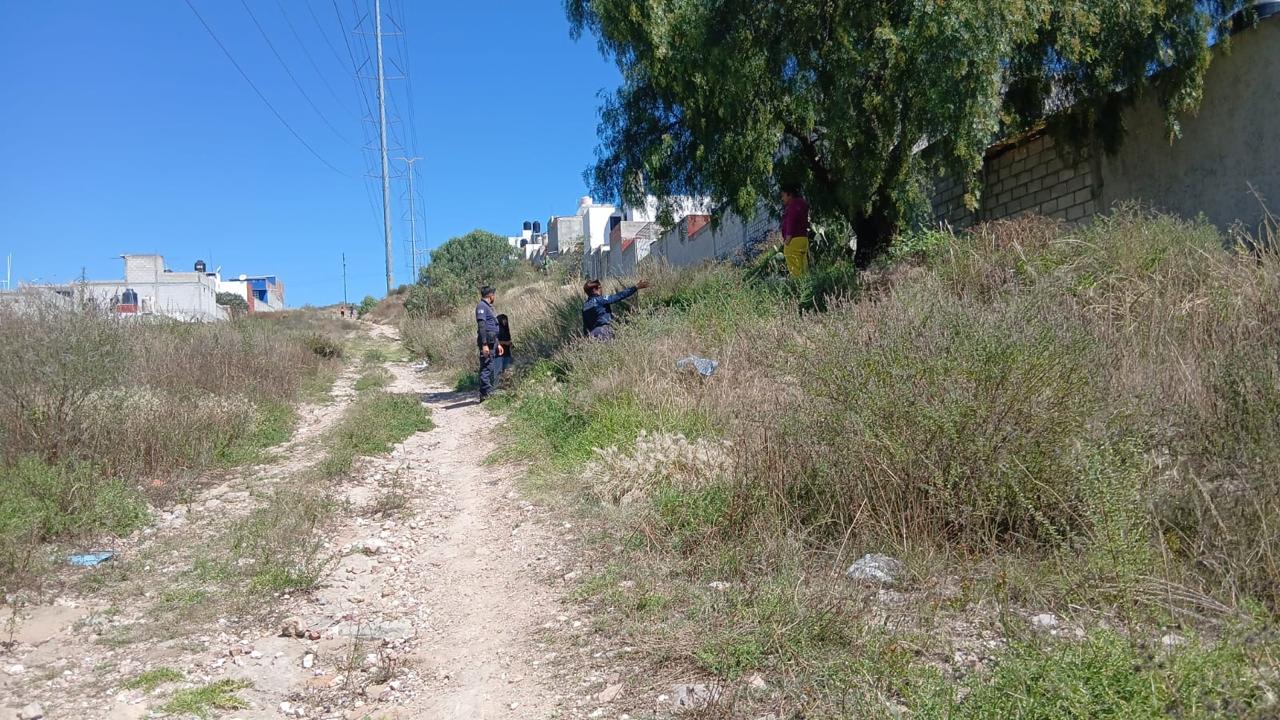 Menor es localizada en Mineral de la Reforma