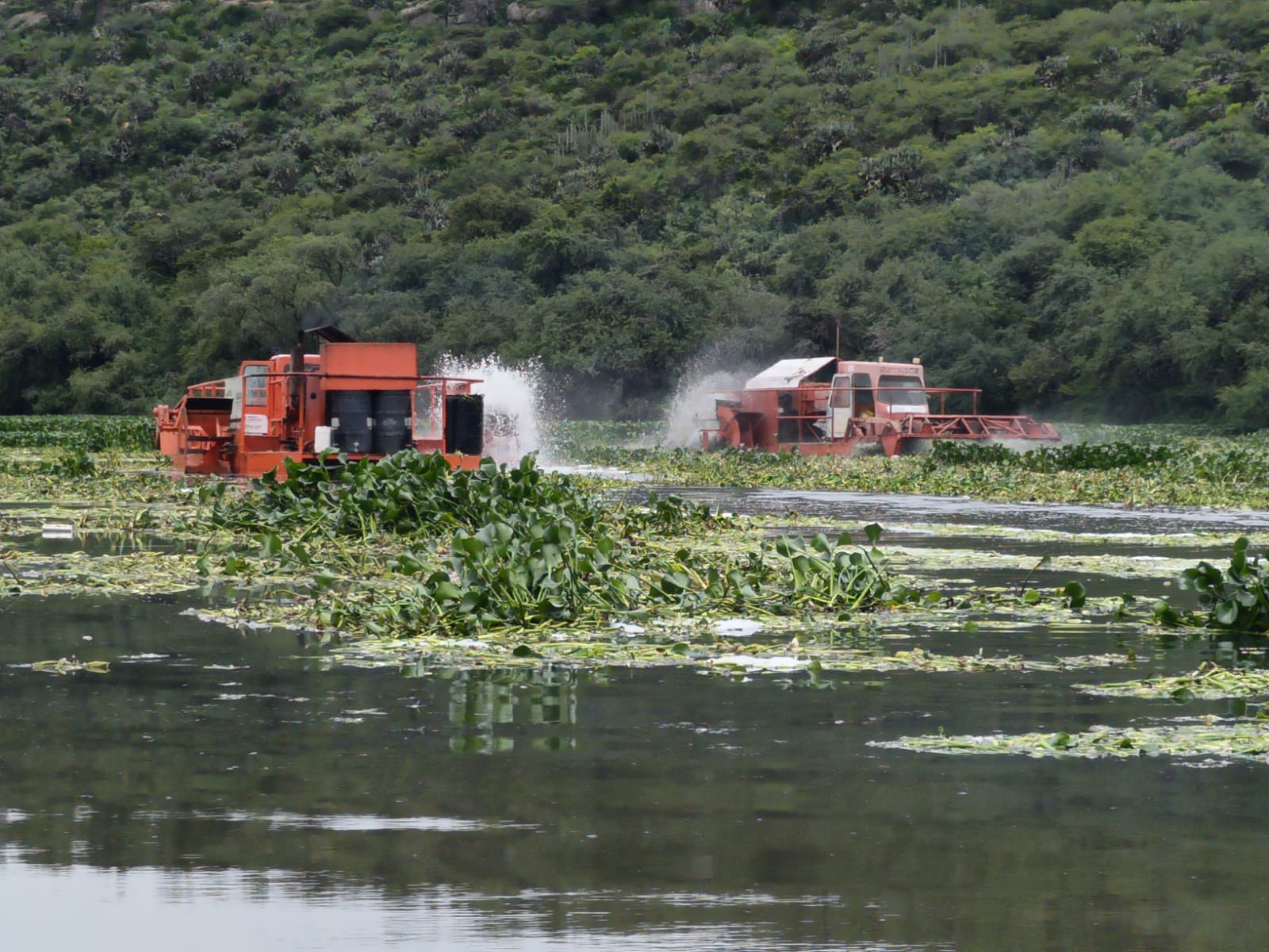 Pemex dona 20 mil litros de combustible para triturar lirio en la presa Endhó