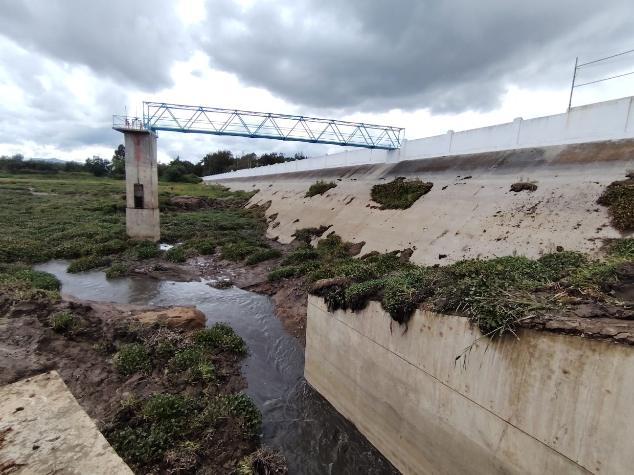 Presa La Esperanza alcanza el 100% de su capacidad; gran parte es azolve y lirio