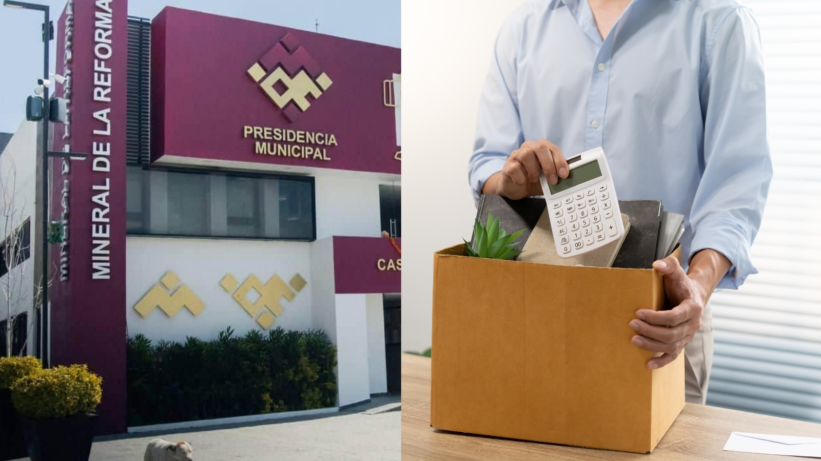 Mineral de la Reforma