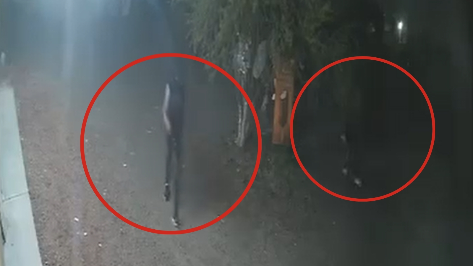 VIDEO | Sujetos encapuchados rondan casas y negocios en Zimapán