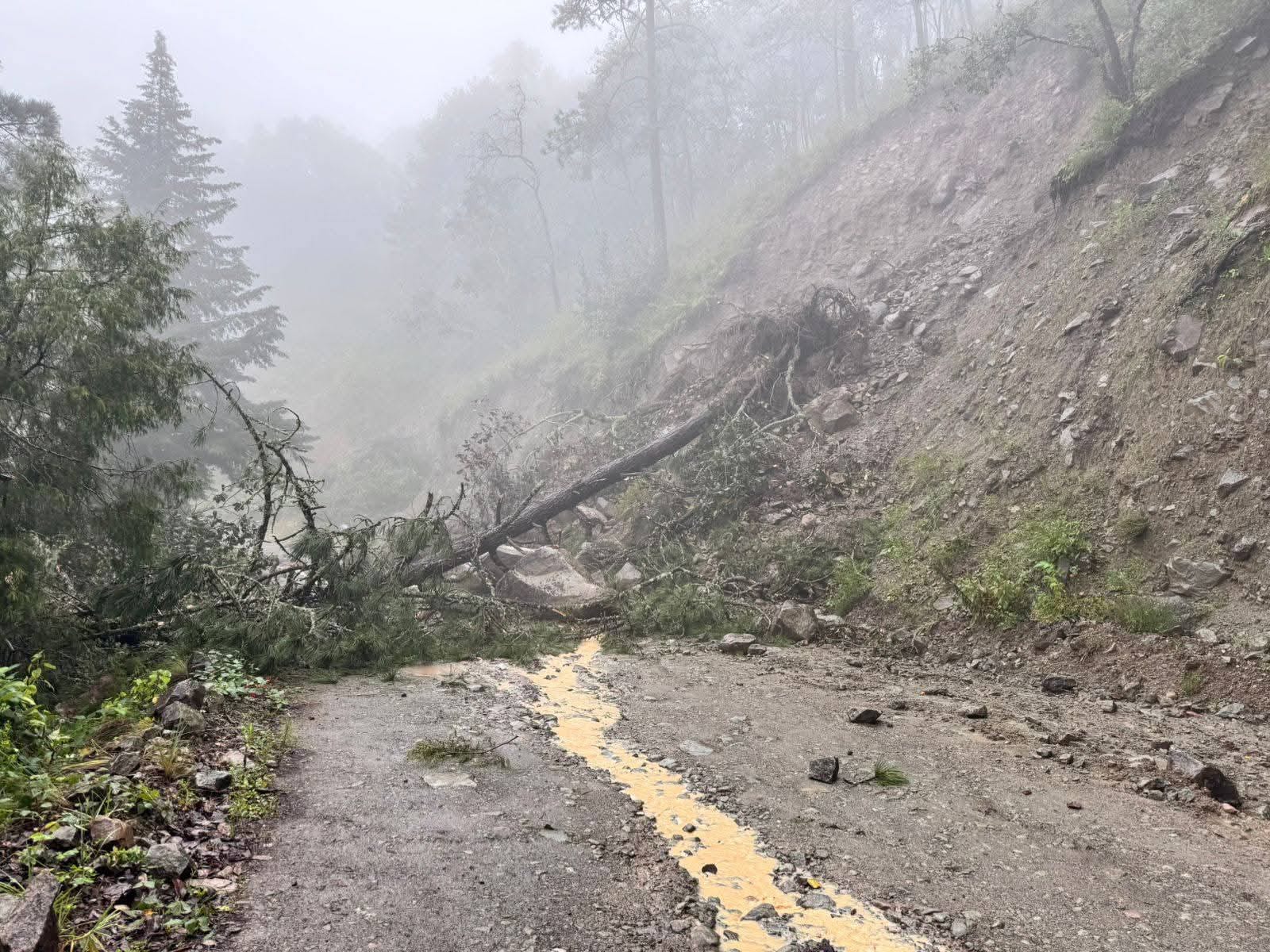 Lluvias en Ixmiquilpan dejan derrumbes, caída de árboles y postes y deslaves