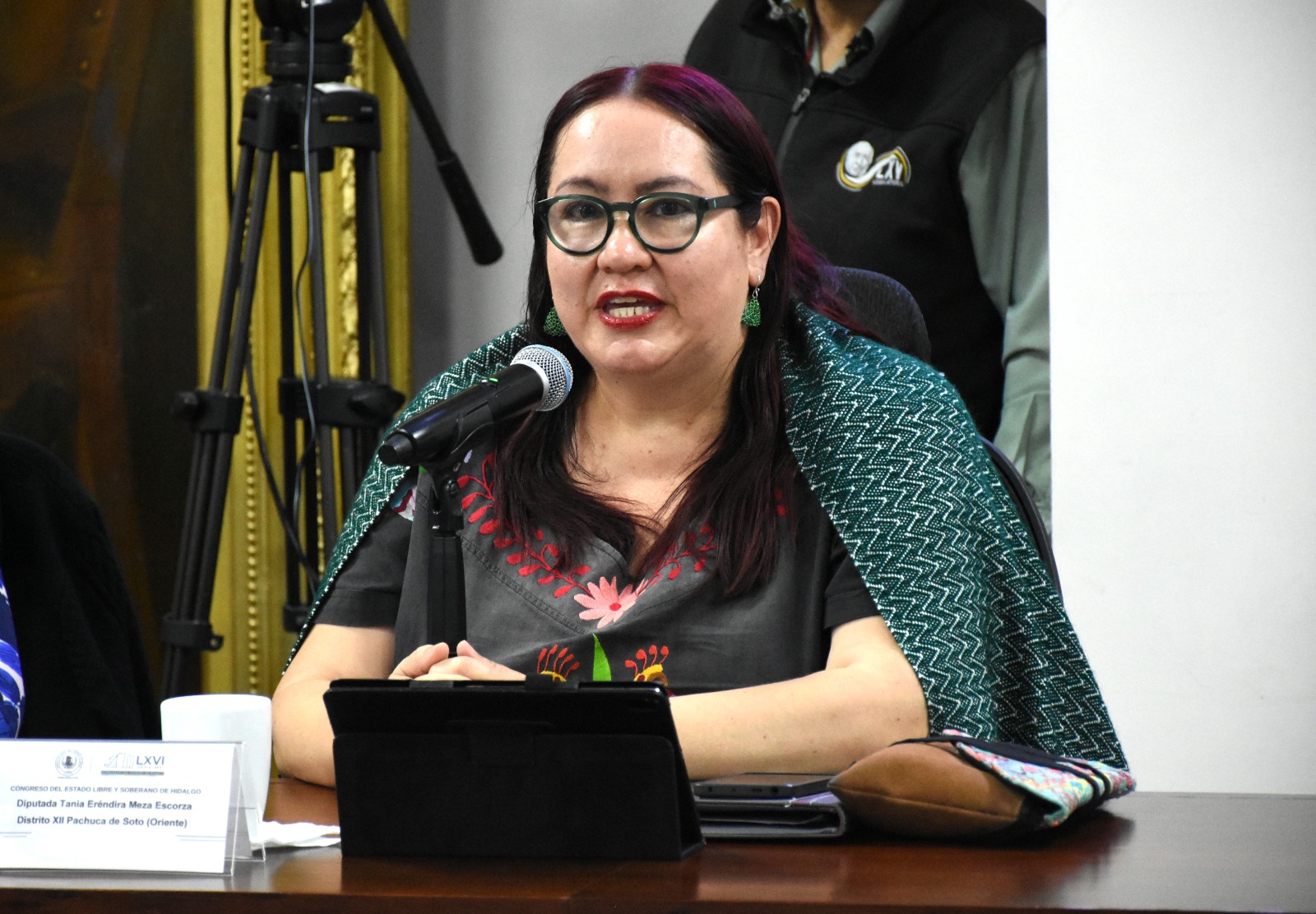 Diputada Tania Meza Escorza