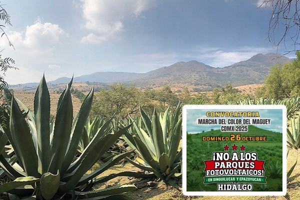 Convocan a marcha en la CDMX contra parques fotovoltaicos en Singuilucan y Epazoyucan