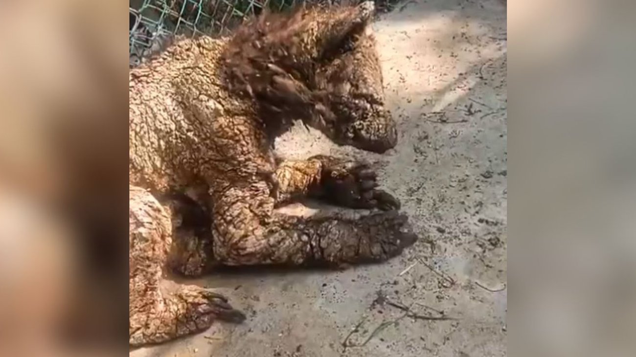 Osa Mina inicia tratamiento especializado en Hidalgo