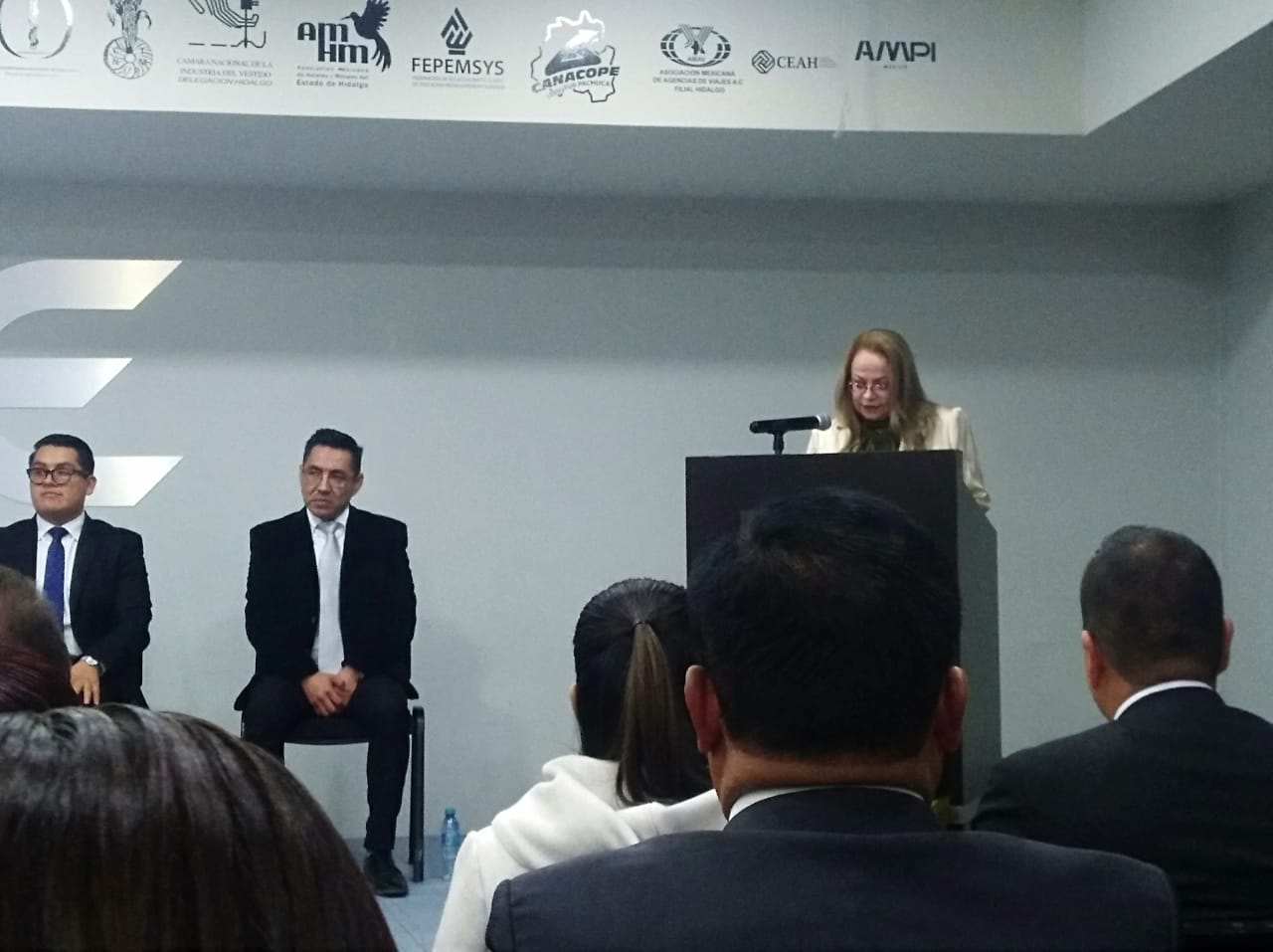 Alicia Medina Castelazo titular de la Fiscalía Especializada en Delitos de Corrupción