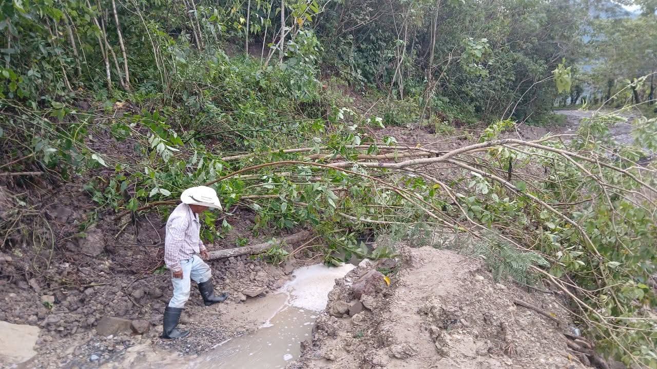 Puente provisional colapsado en Huehuetla tras intensas lluvias.