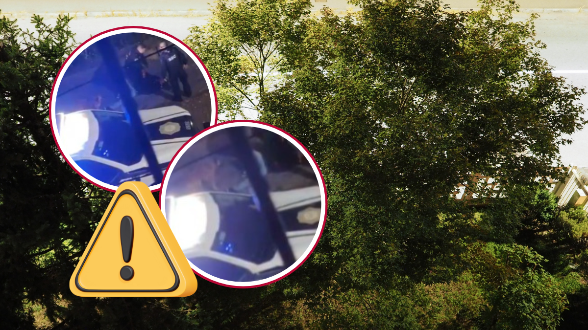 CDMX: Erick Omar salió a pasear a su perro y policías lo asesinan; captan en VIDEO momento exacto del uso excesivo de la fuerza